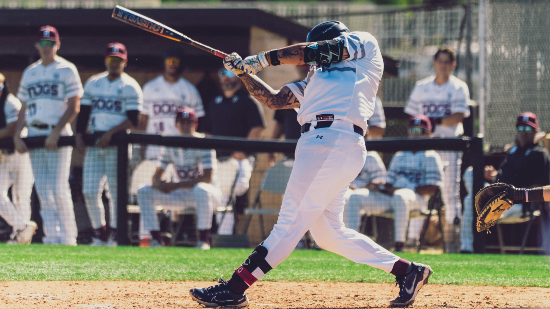 Baseball - Puget Sound DH