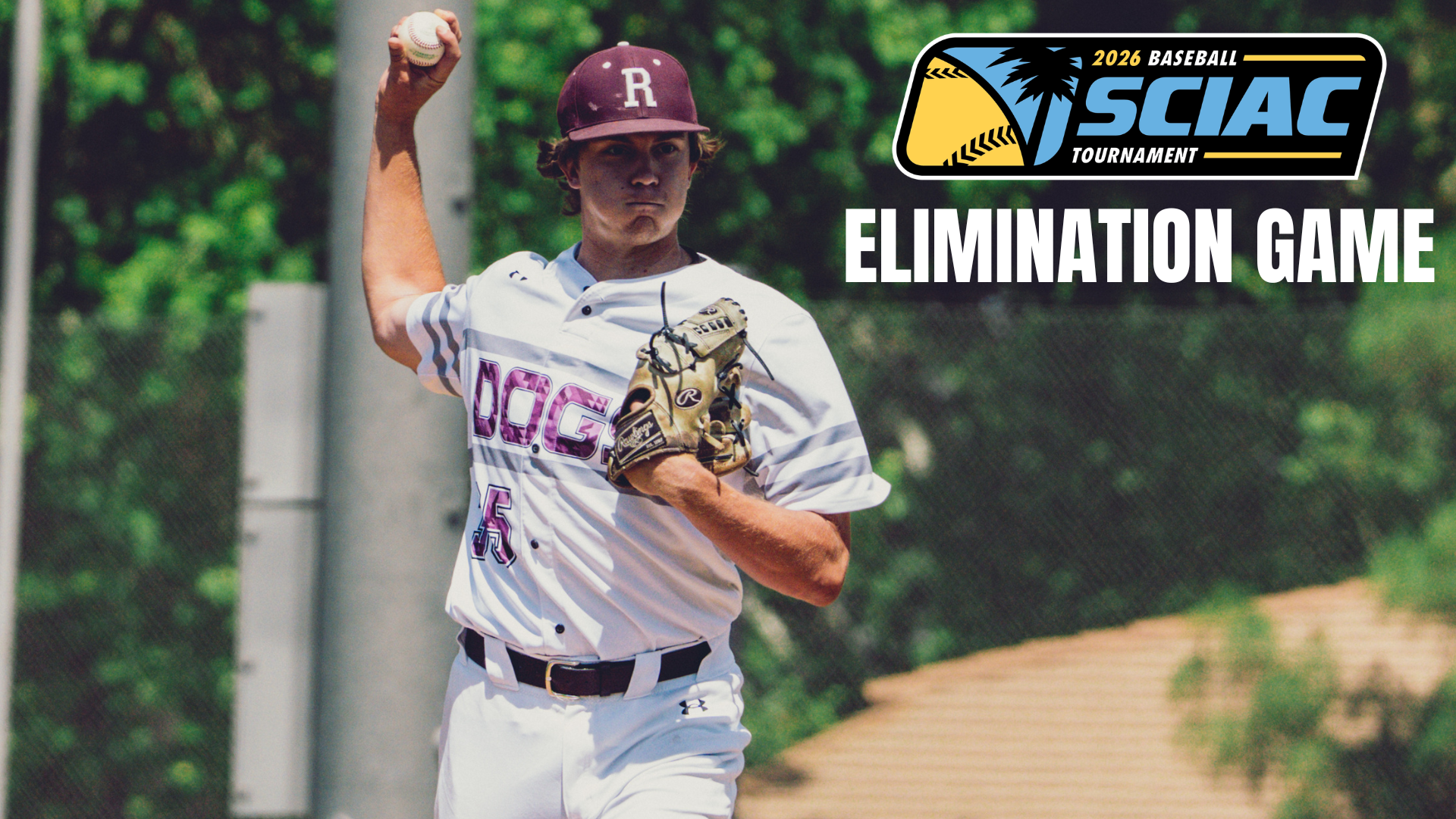Baseball - Elimination Game