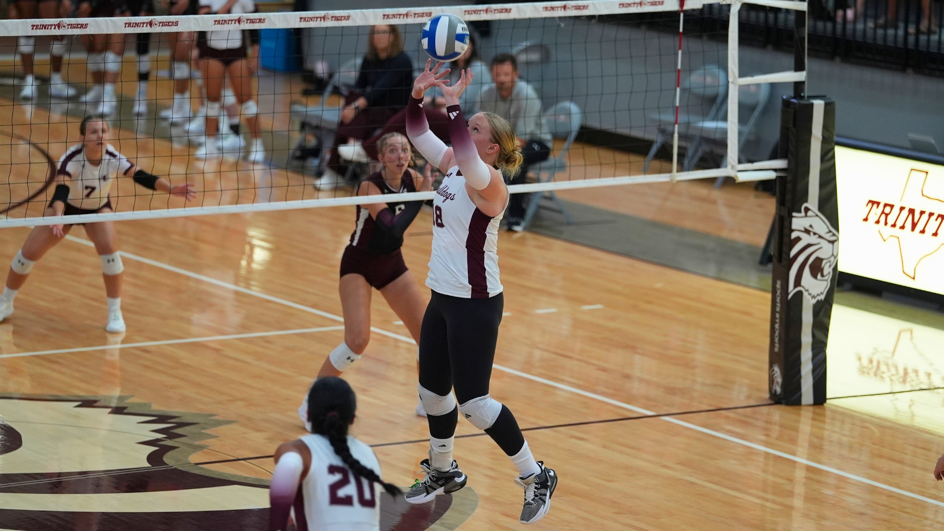 Women's Volleyball - Schreiner University