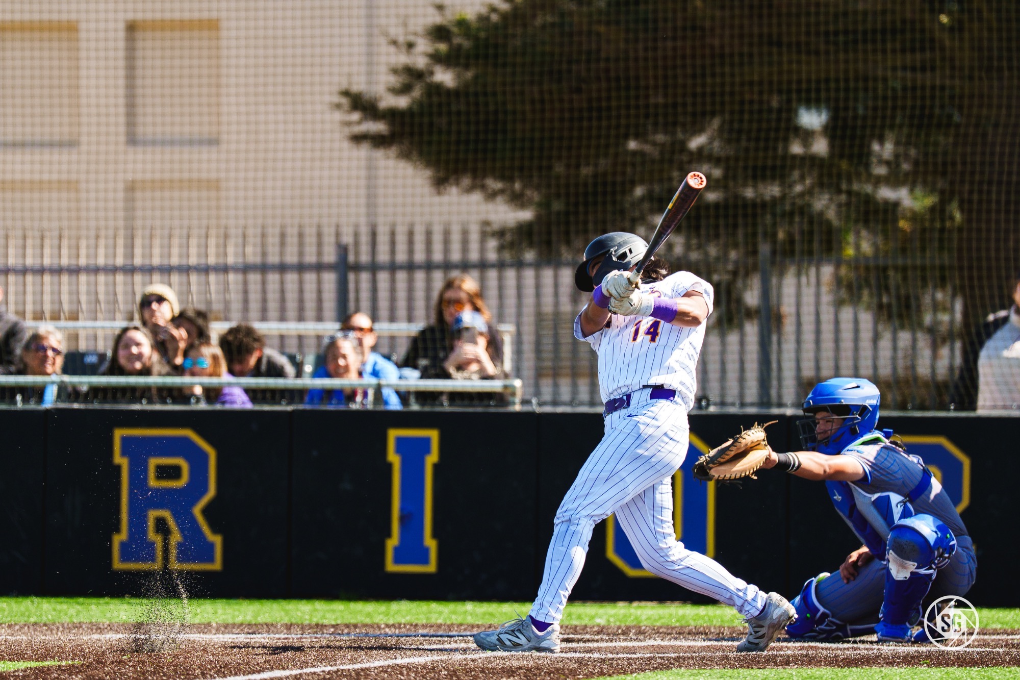 Dante Curmi Hitting