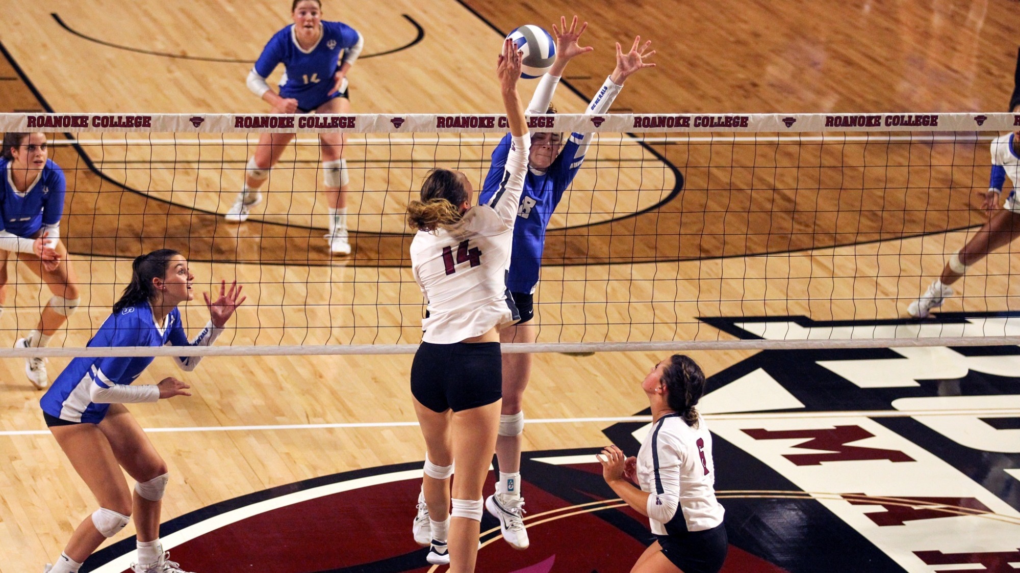 Ryanna Clark 2023 Women's Volleyball Roanoke College