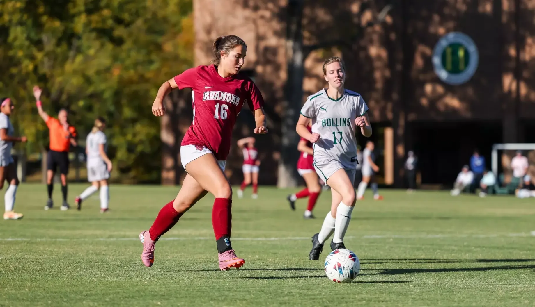 Addison Best action vs. Hollins