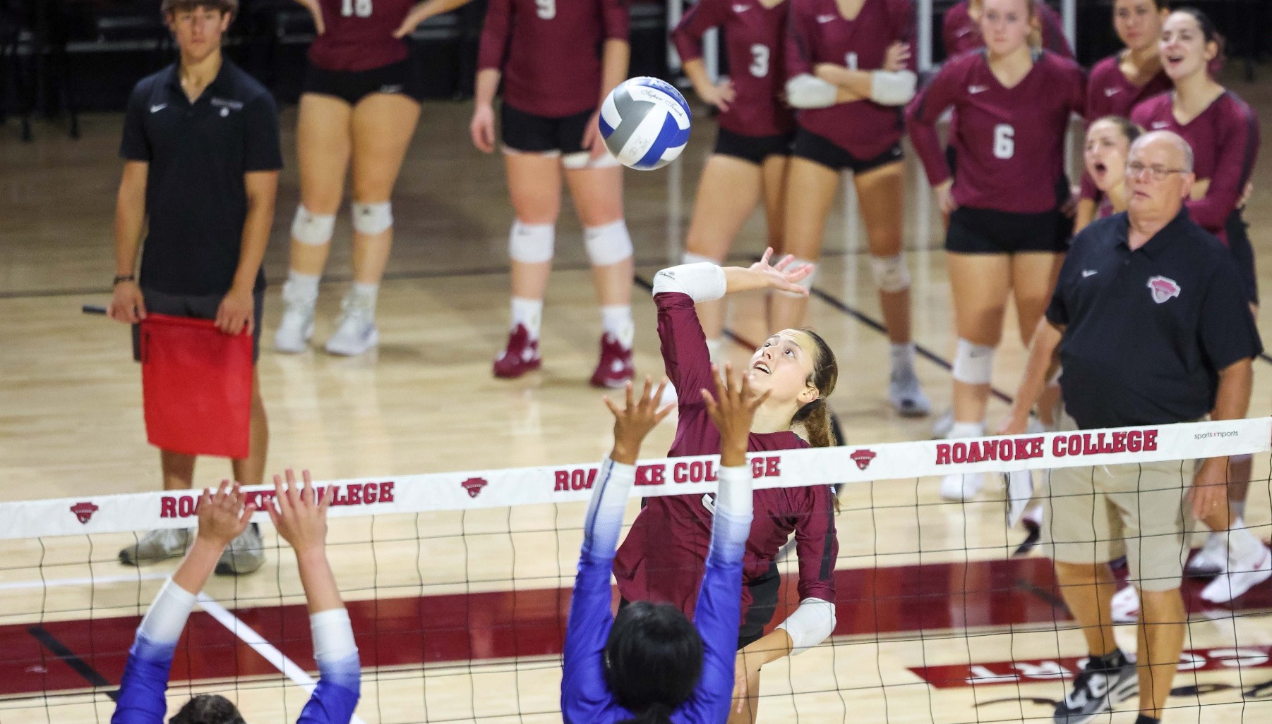 Danica Taylor action