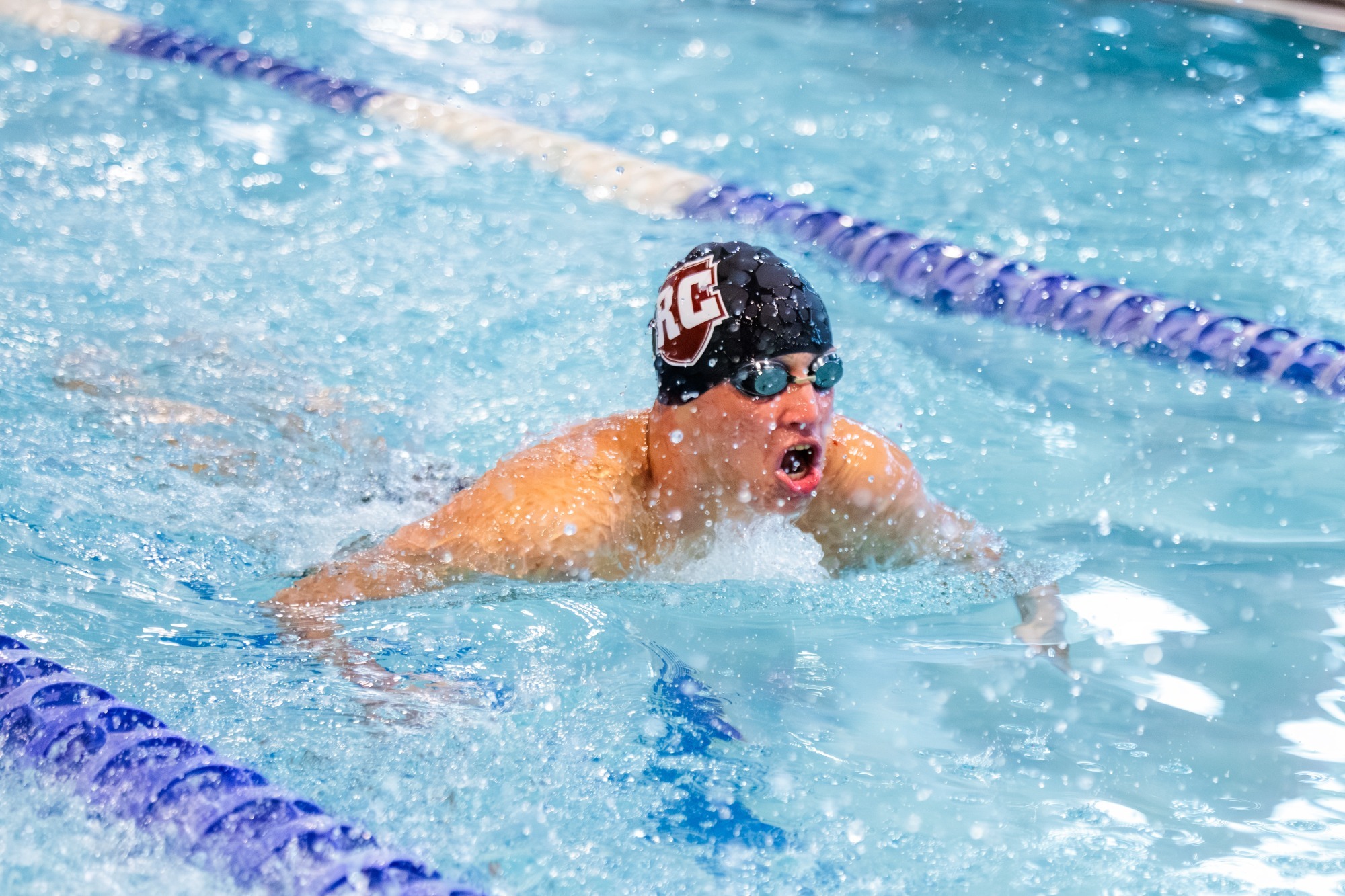 action vs. Bridgewater