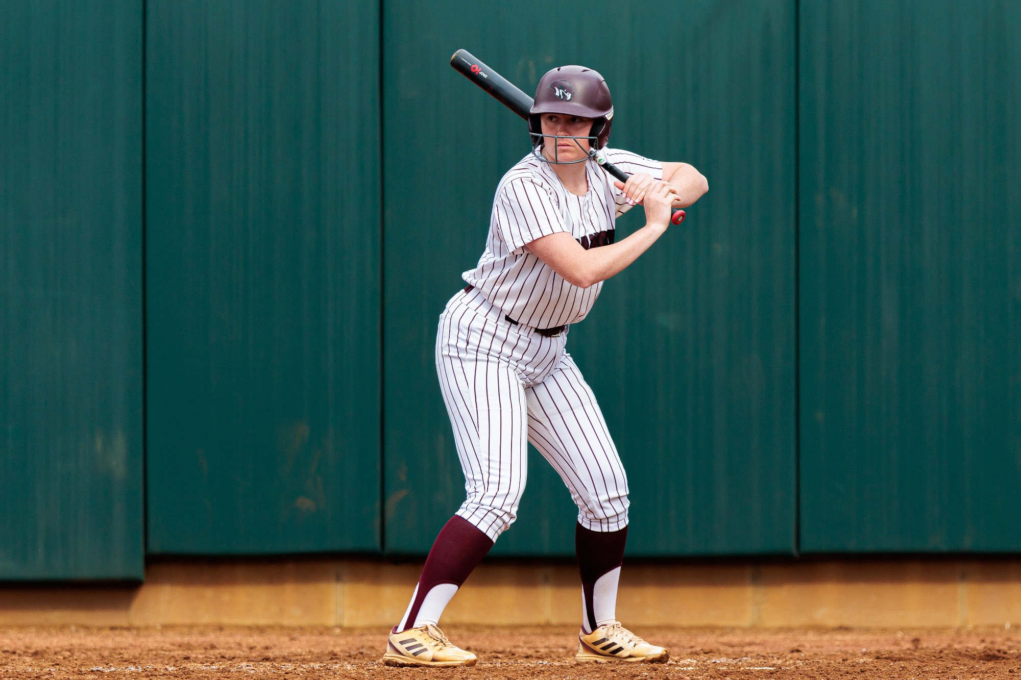 Softball DH vs. York 3-4-26