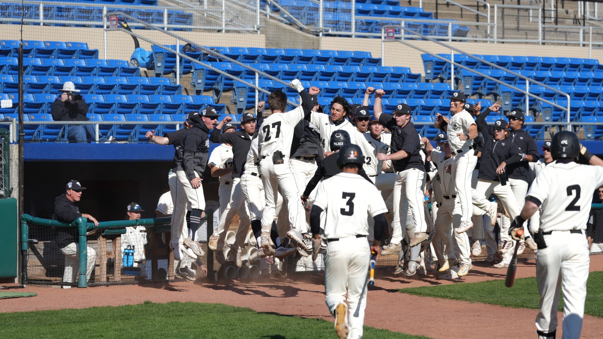 Baseball Celebrations