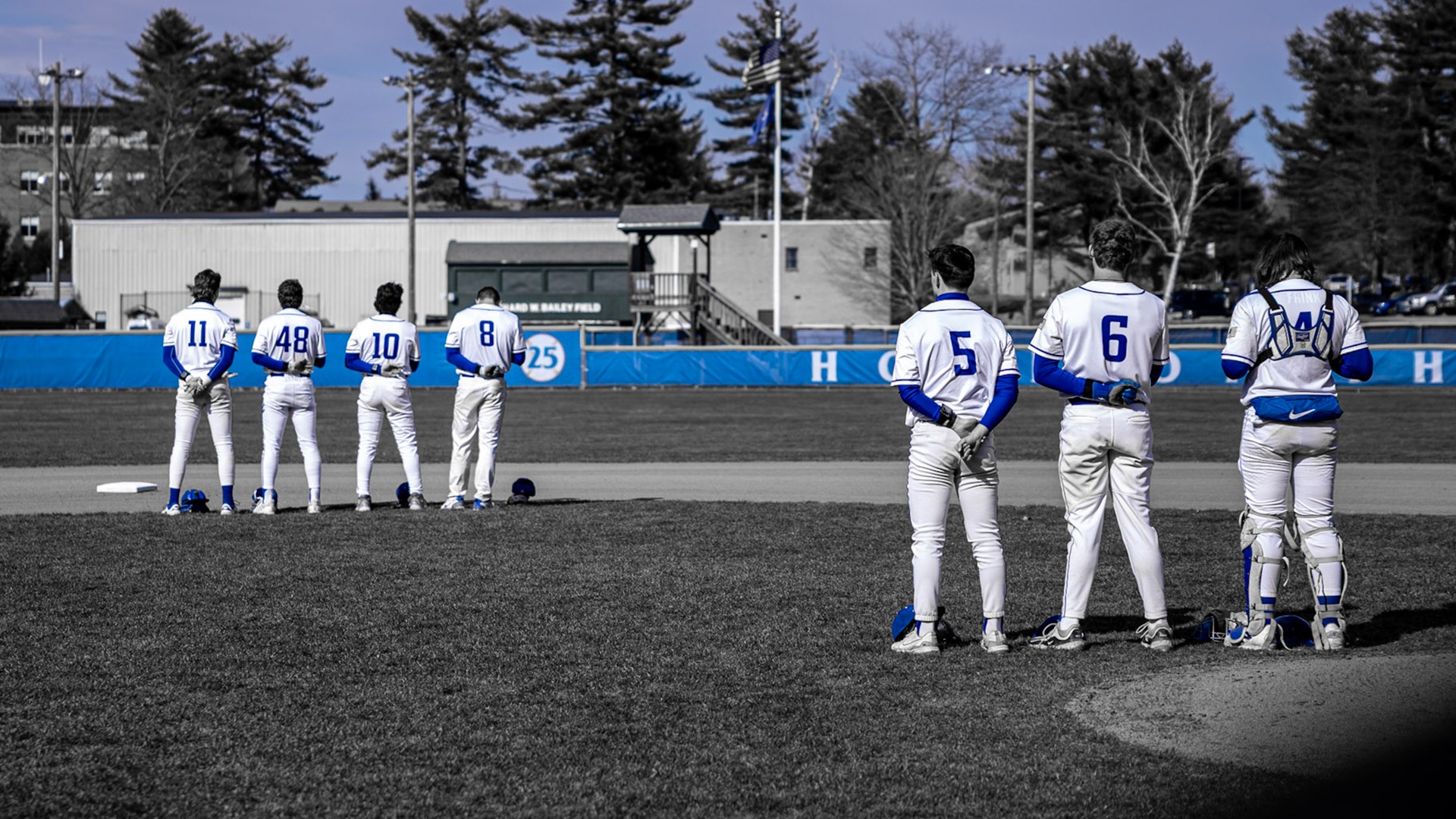 2025 Baseball Season Review