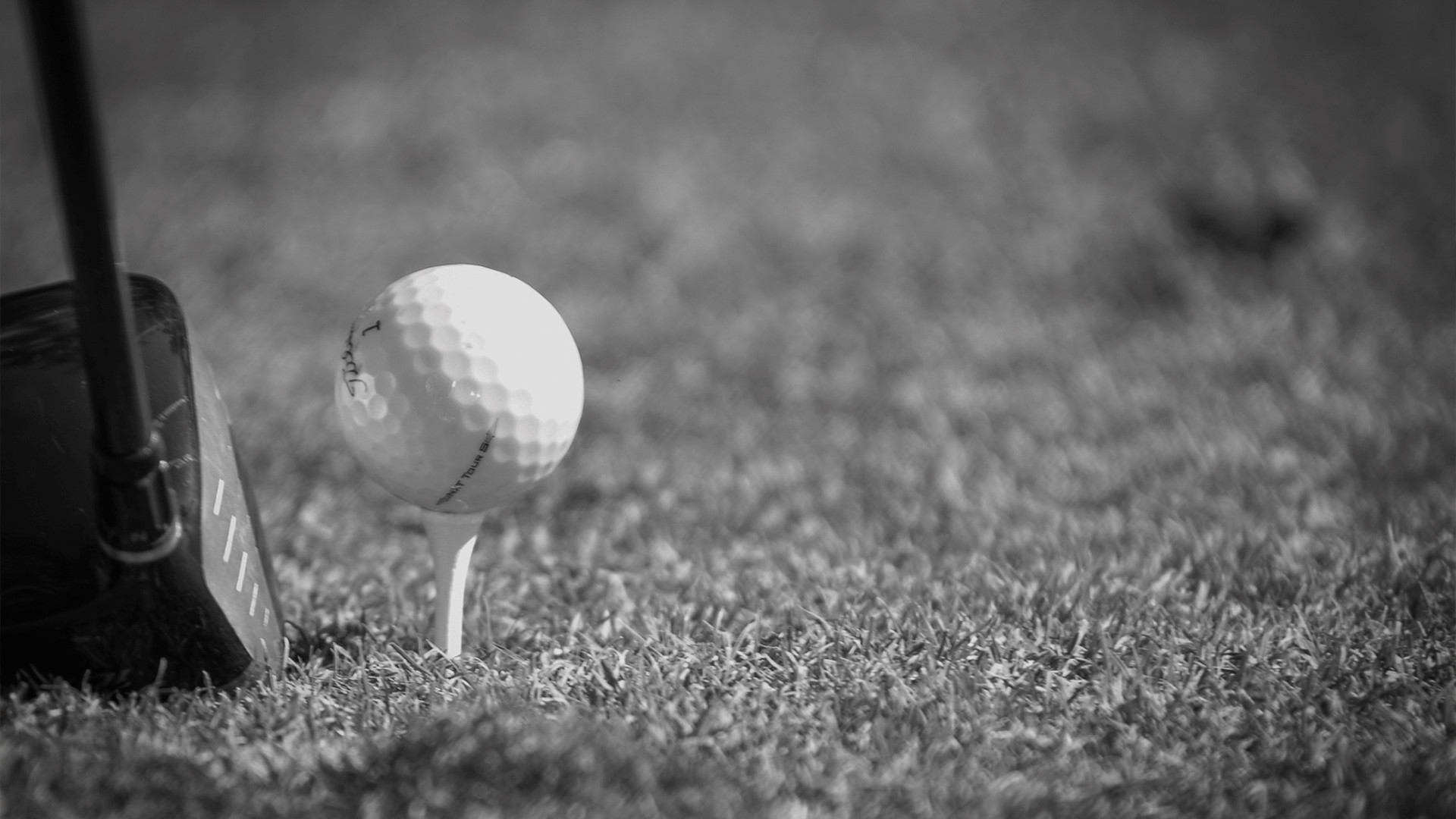 2025 golf stock 3
