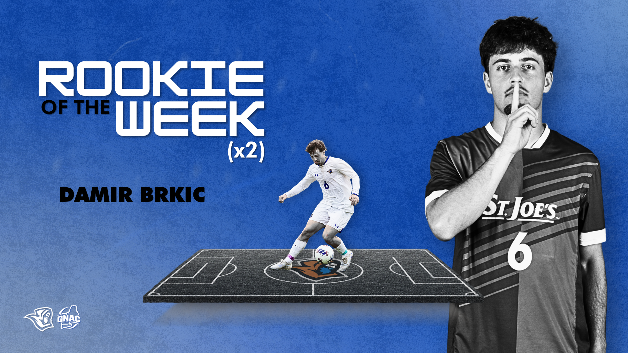 Damir Brkic