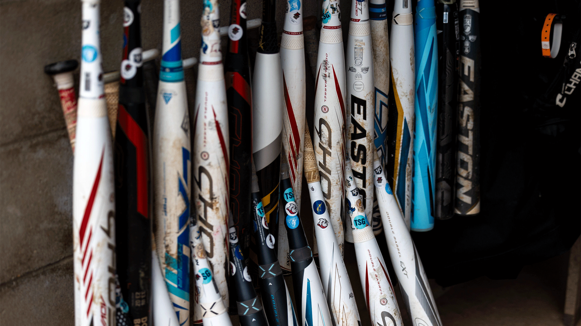 Softball Bats