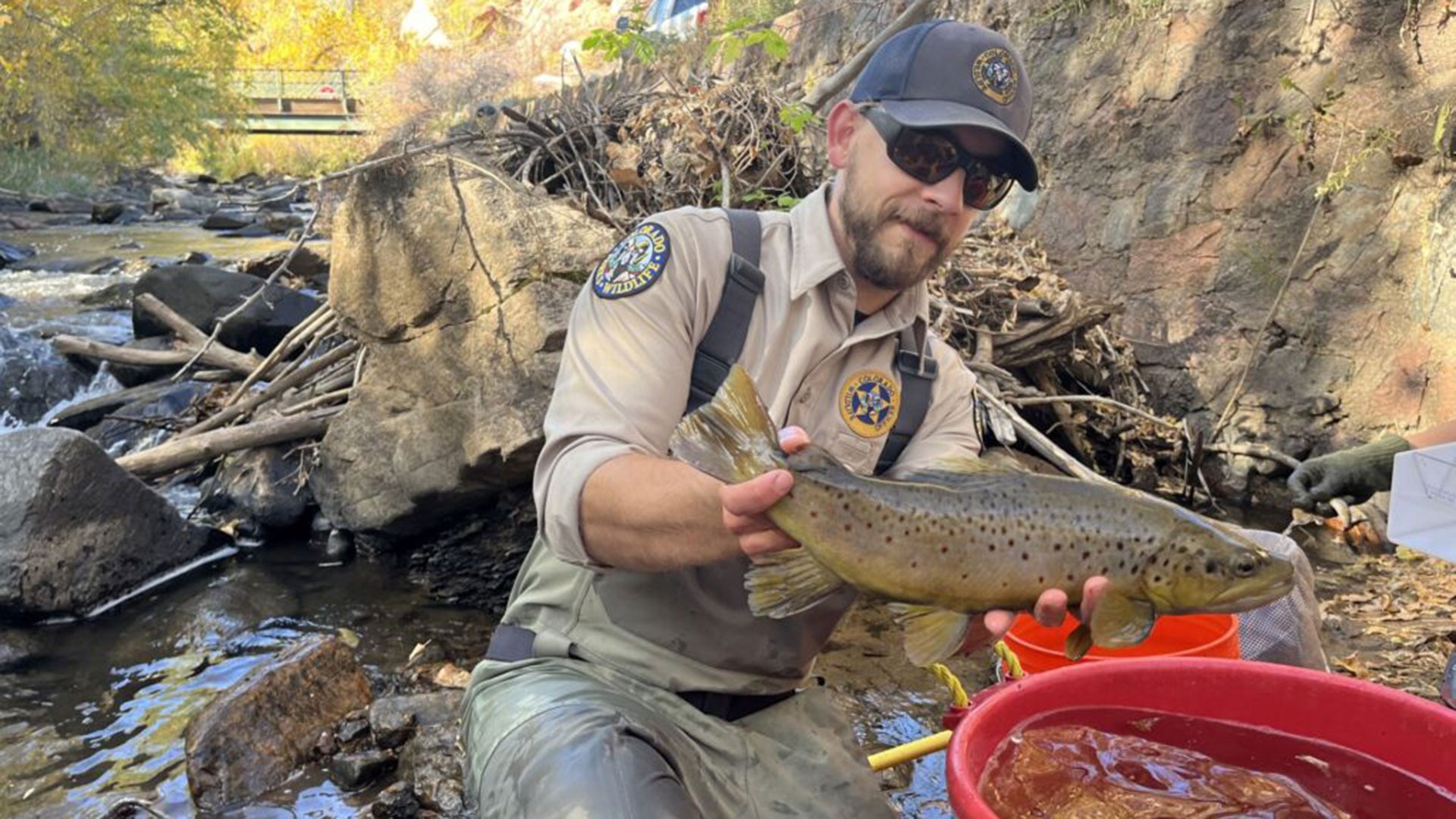 Jake Sonberg Colorado Wildlife