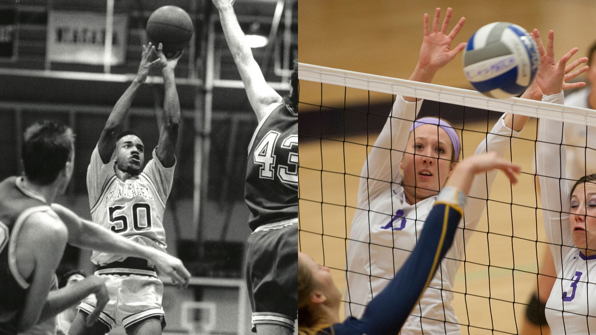 Alexis Sherard Lindsay Phenix