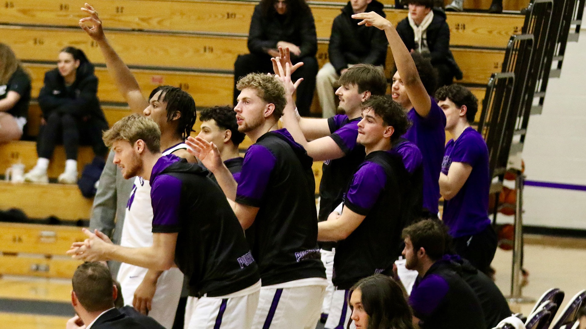 Men's Basketball Bench Photo
