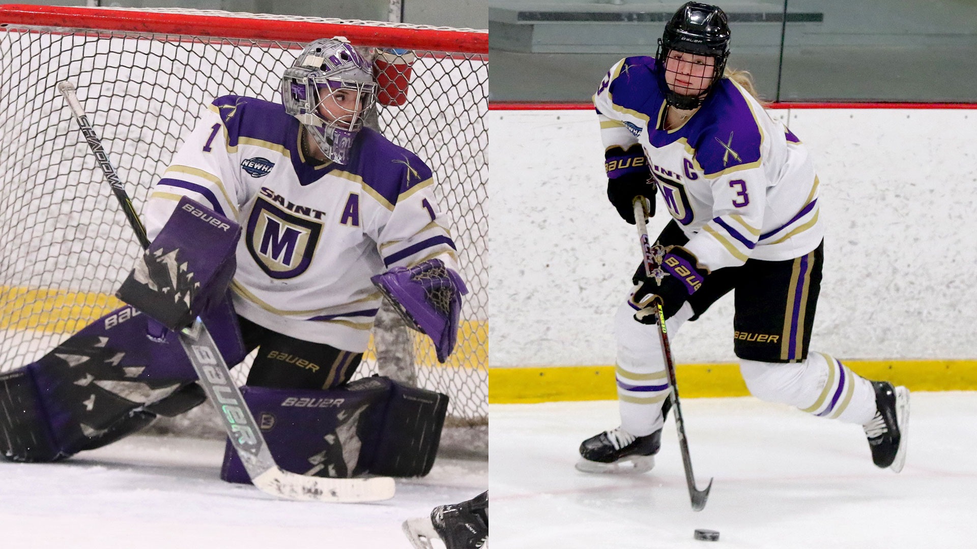 2026 AHCA All-American Scholars