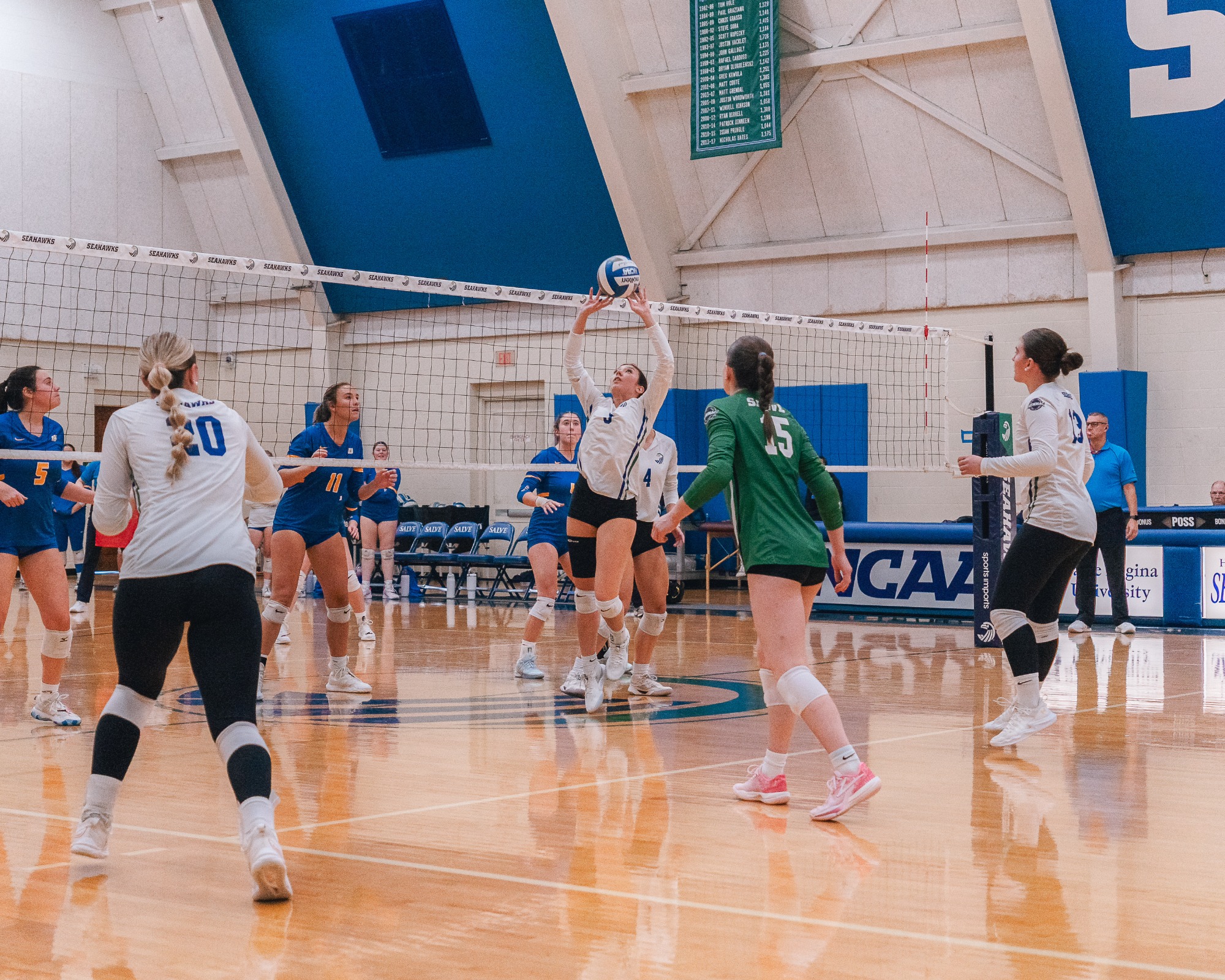 Salve v. Worcester State 