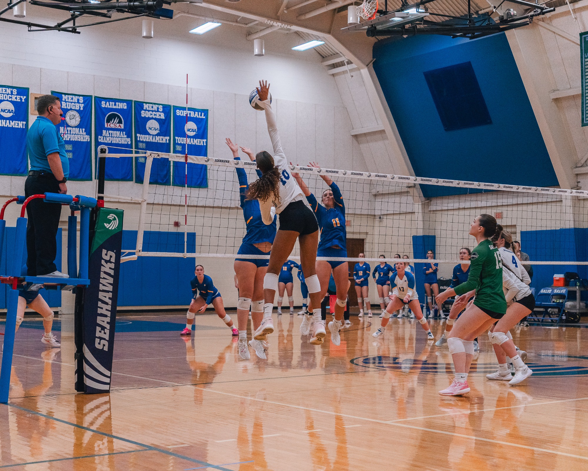 Salve v. Worcester State 