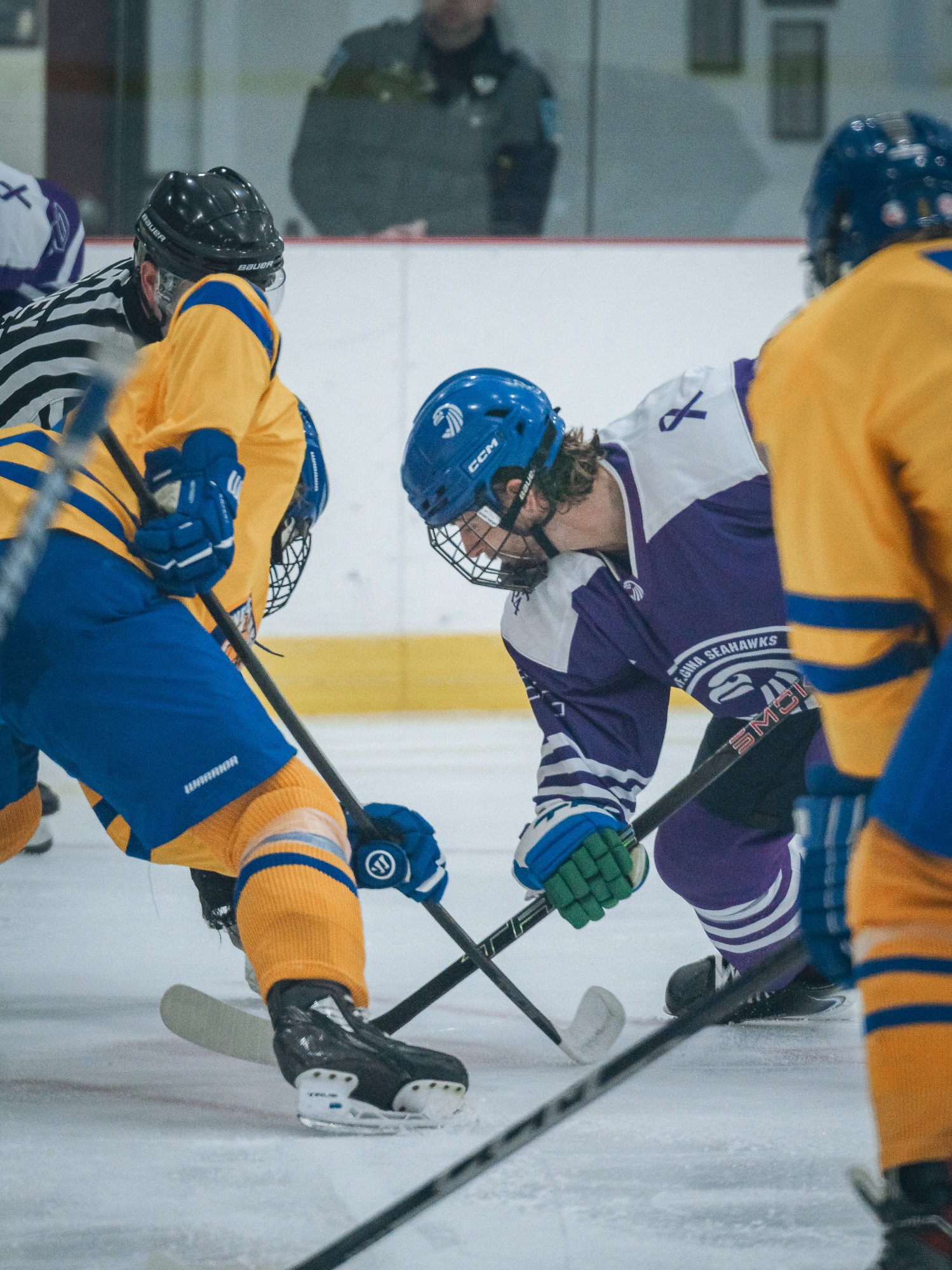 Salve v. Western New England