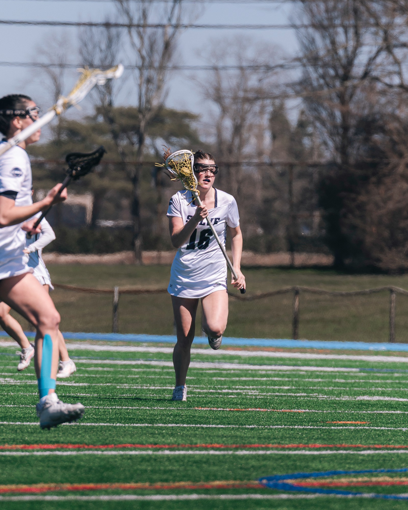 Salve v. Springfield