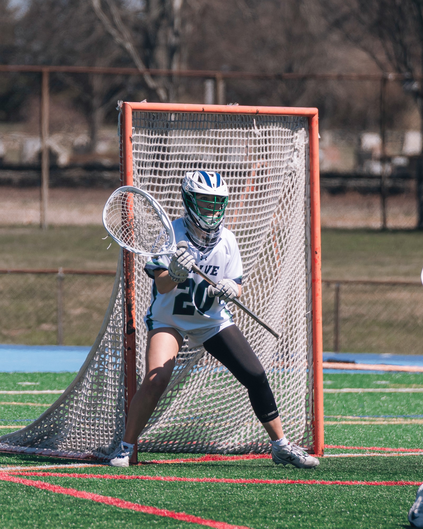 Salve v. Springfield