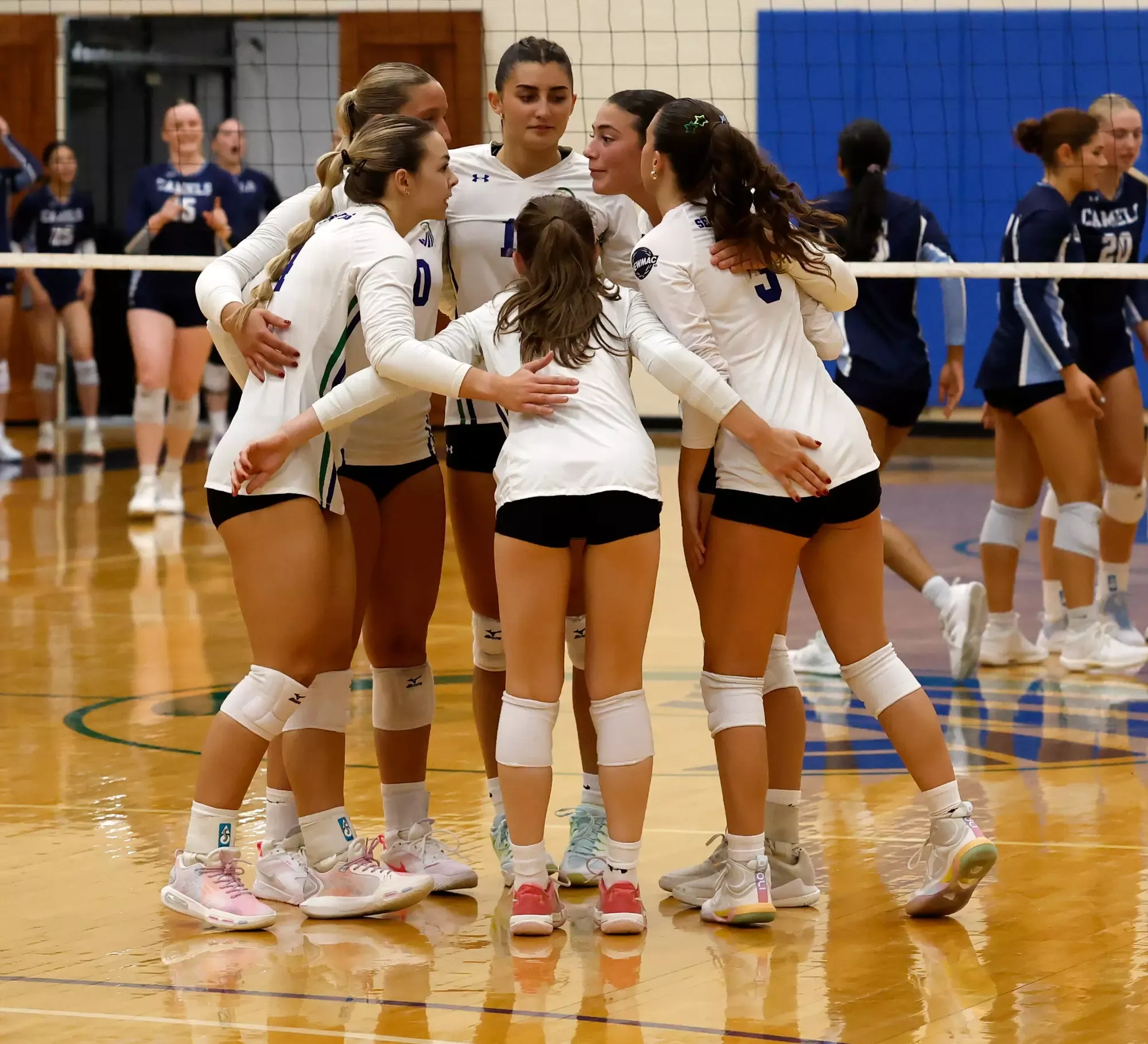 Seahawks versus Camels