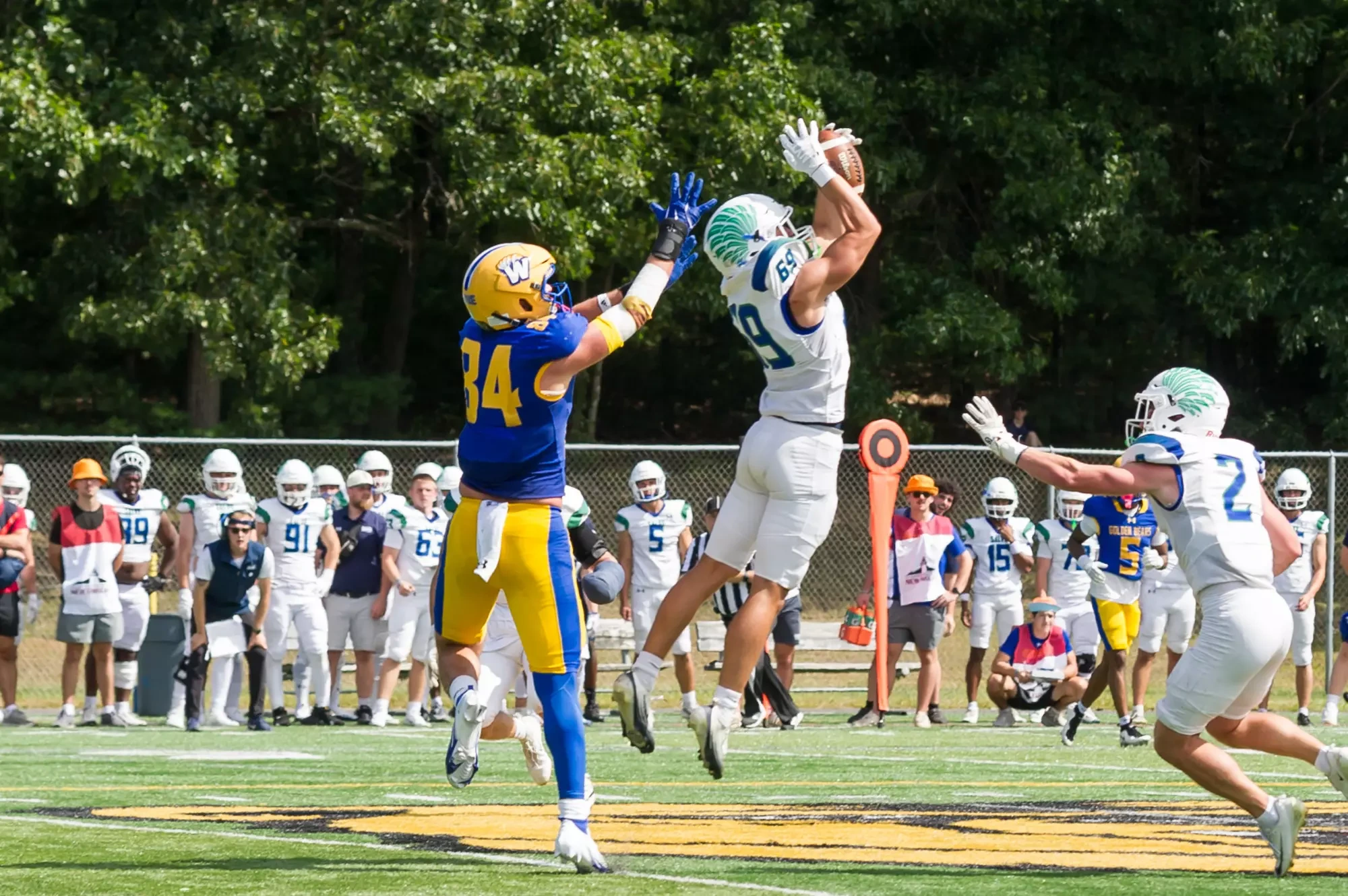 Salve Regina football at Western New England