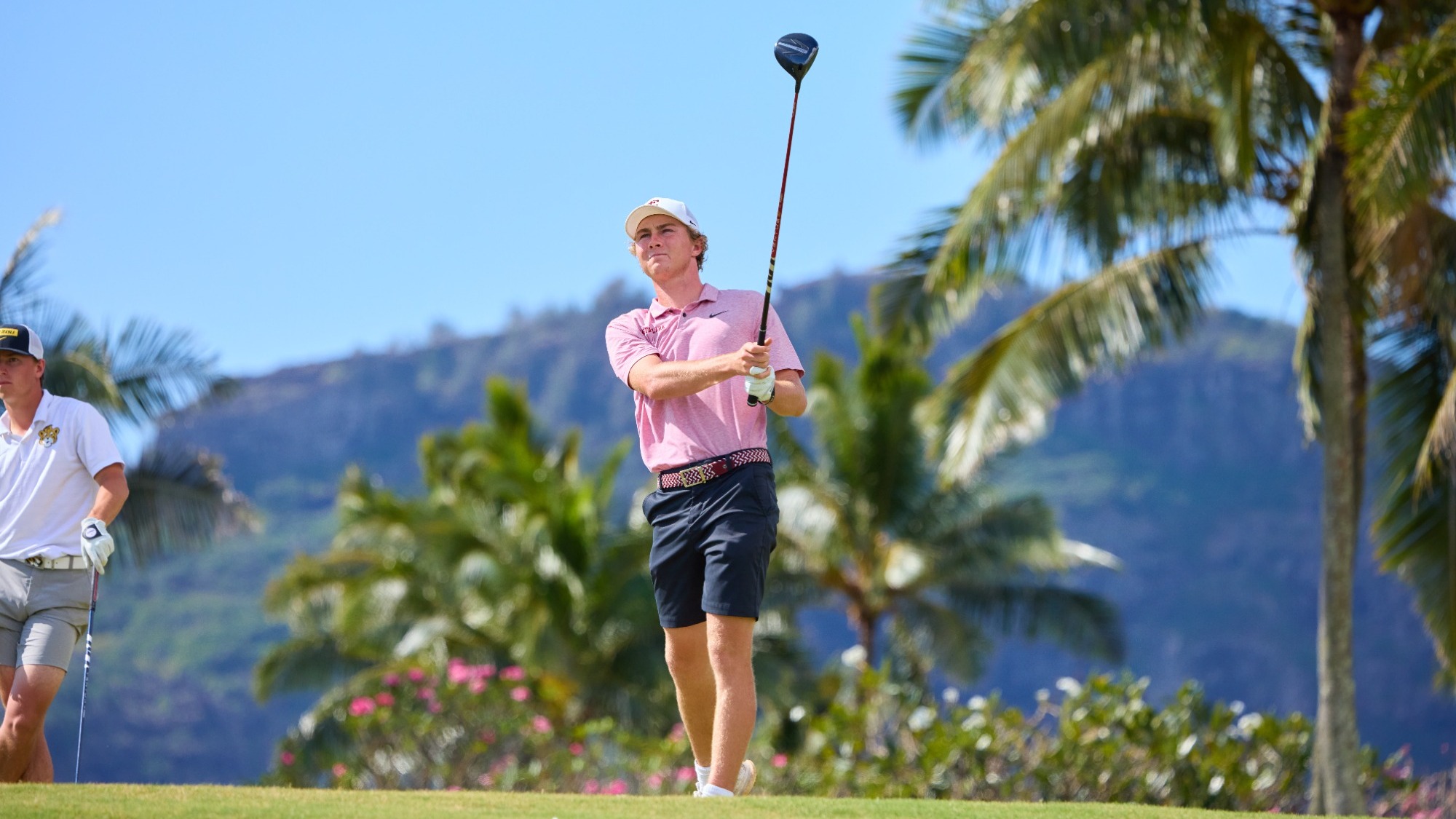 Overfelt, Calder Action