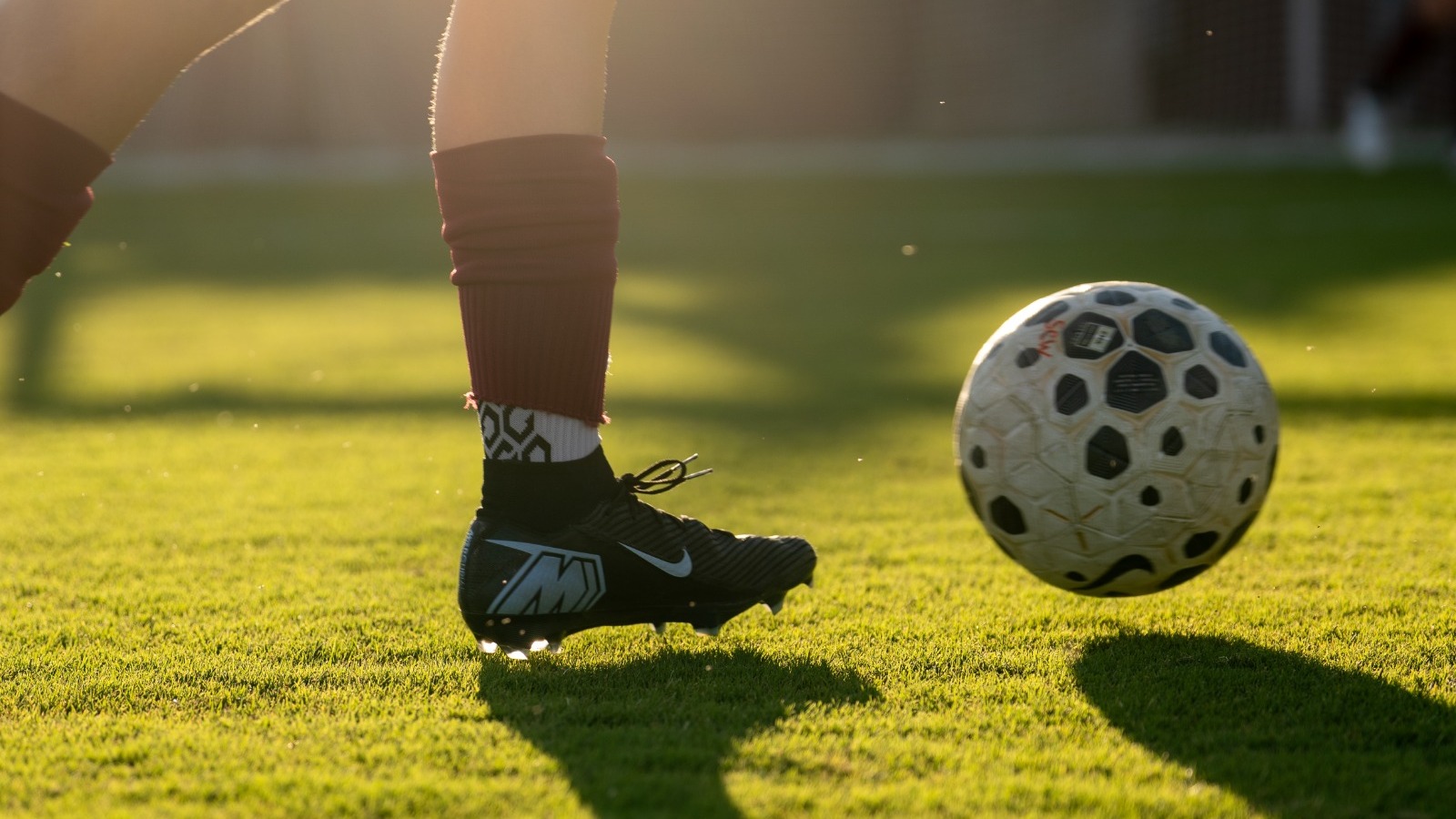 DSC06140 soccer ball