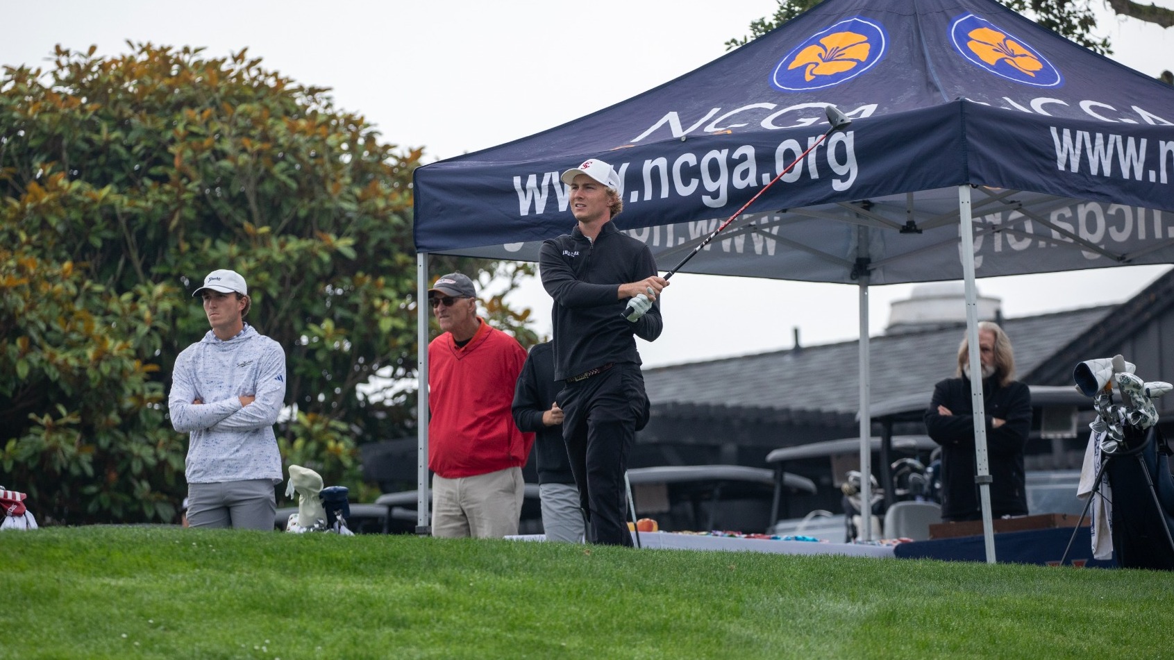 Overfelt, Calder Action