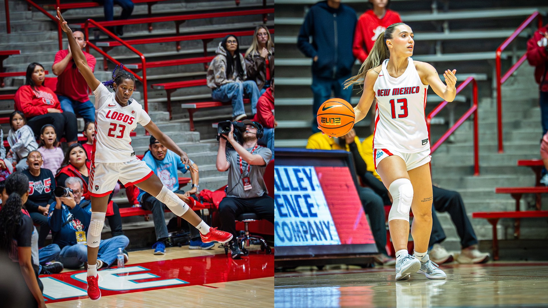 unm wbb transfers