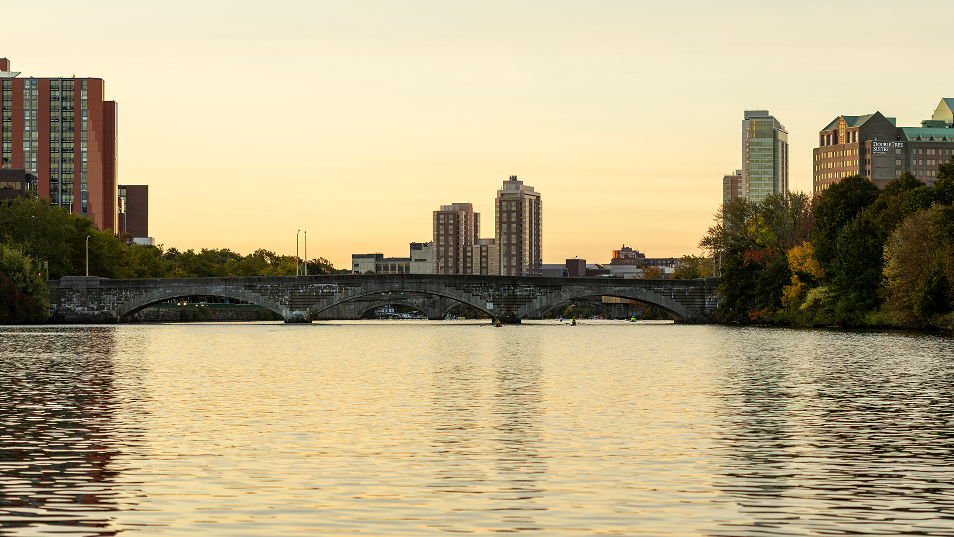 HOCR
