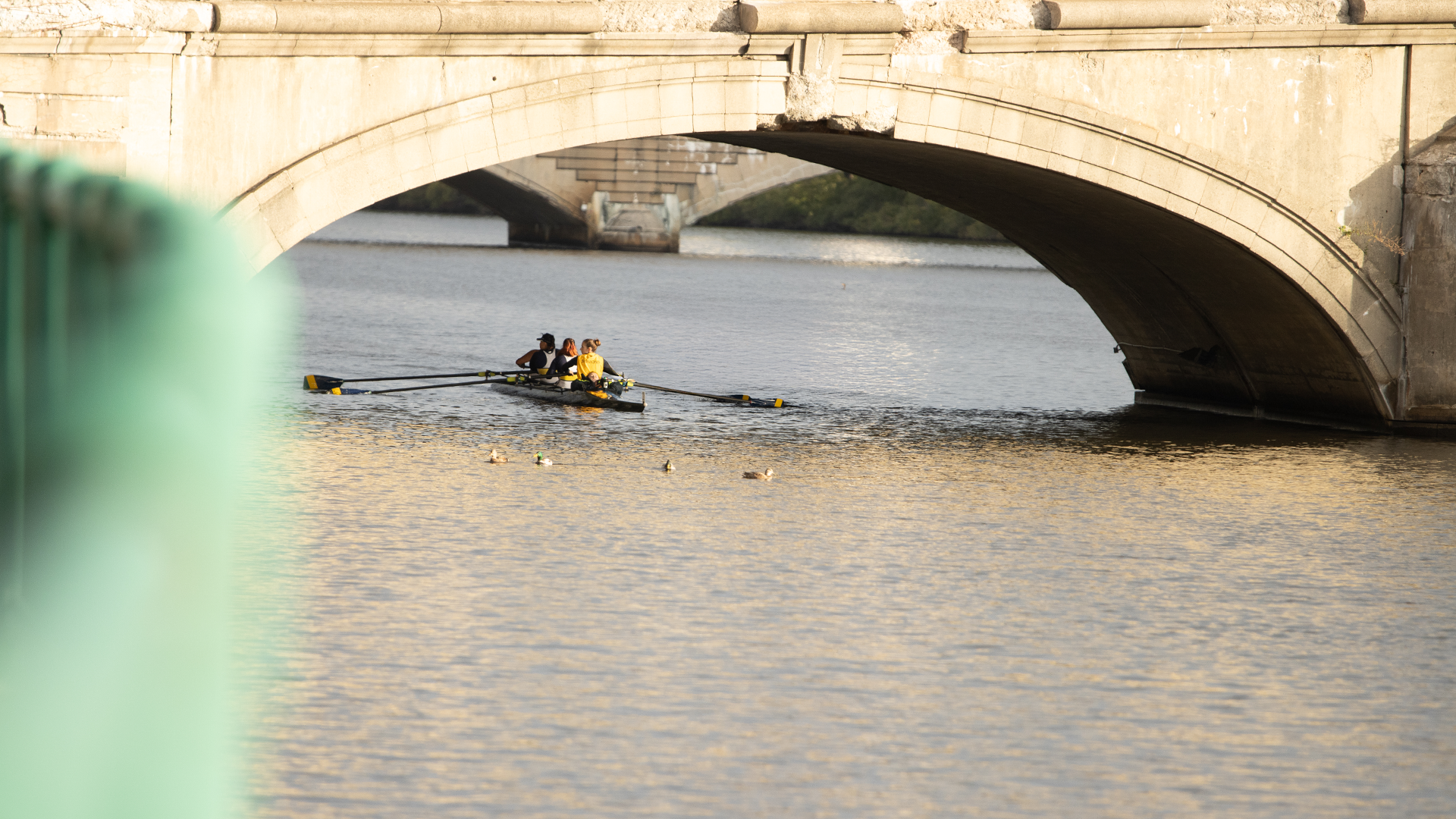 Rowing NEWMAC