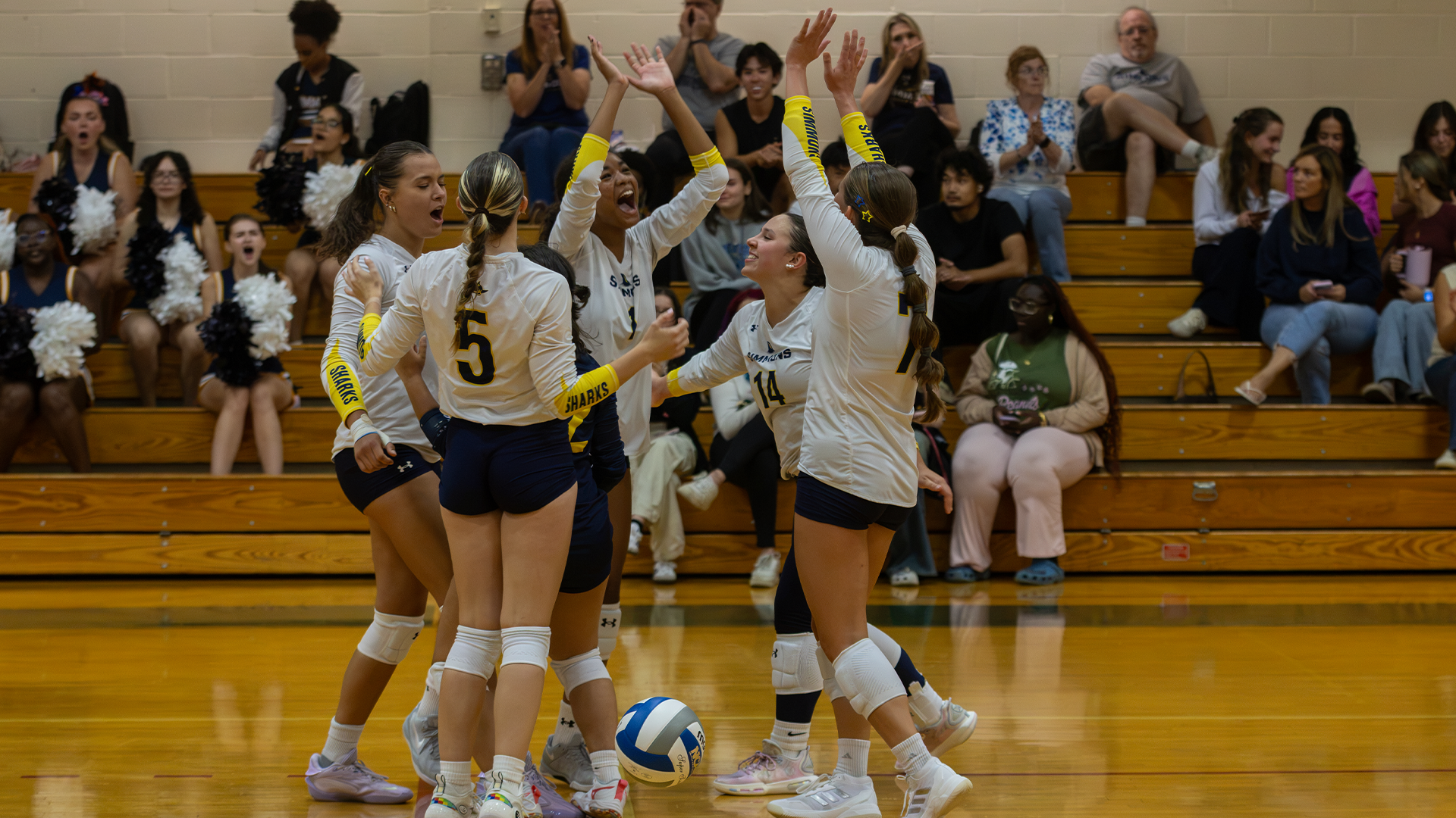 VB Team