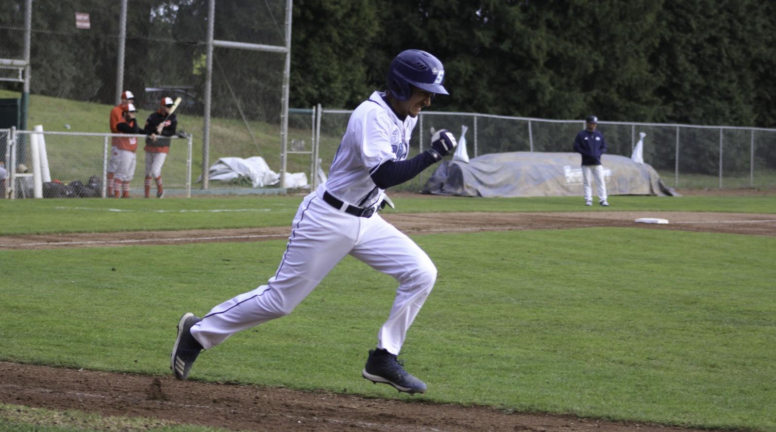 Donovyn Curiel 19 Baseball Sonoma State University Athletics