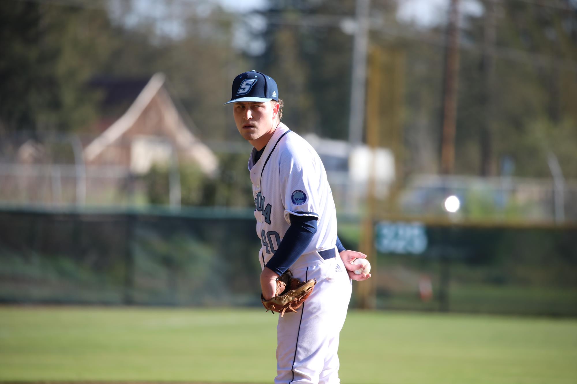 David Newman 2022 Baseball Sonoma State University Athletics