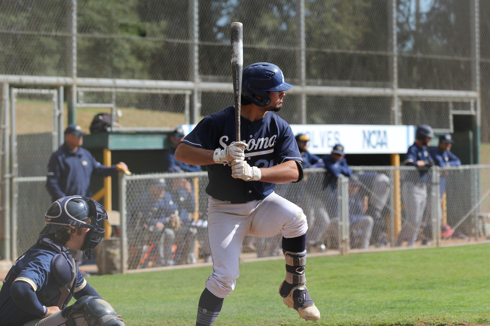 Joshua Medina 2022 Baseball Sonoma State University Athletics