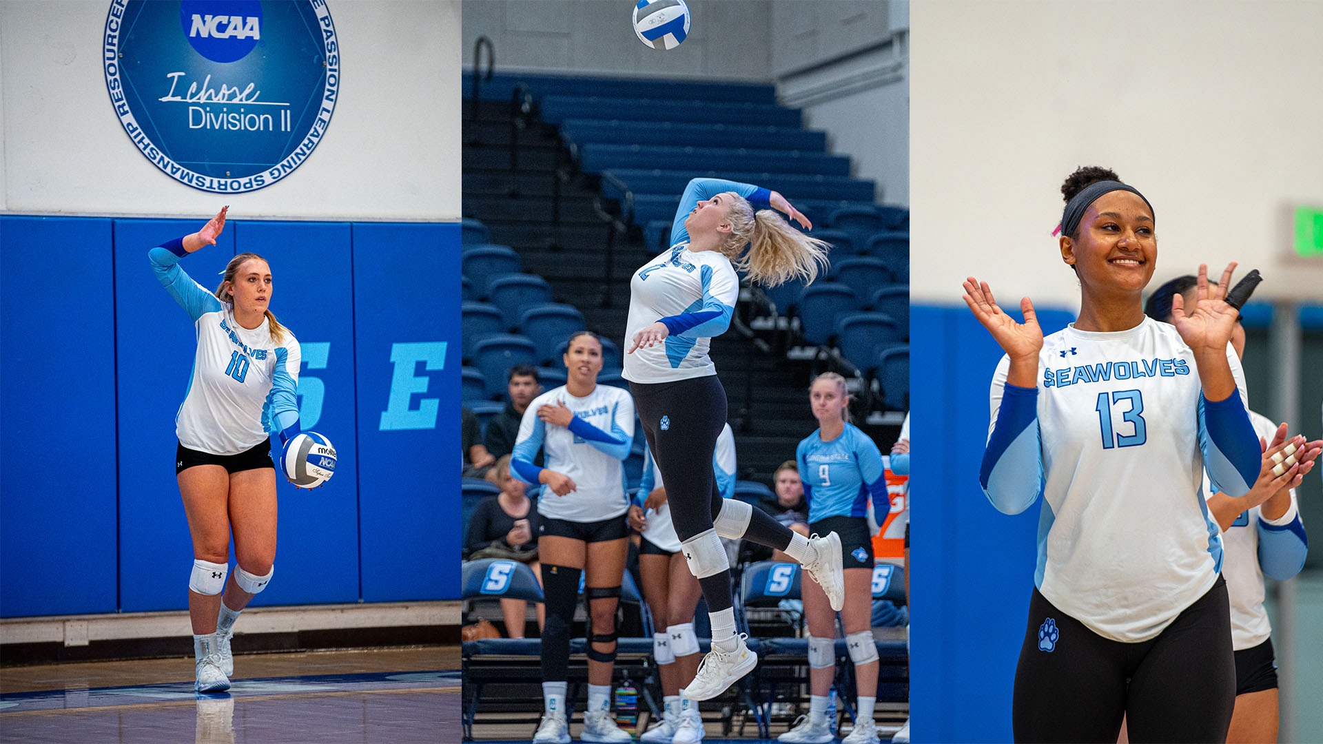 WVB Honorable Mention