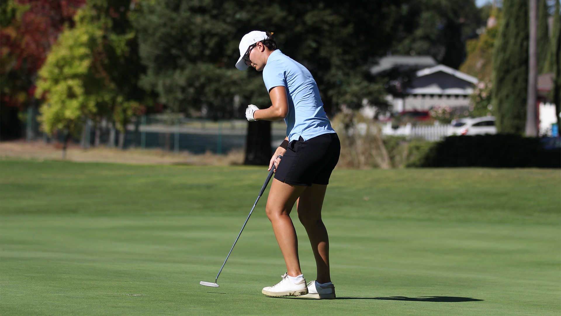 WGOLF Gutman