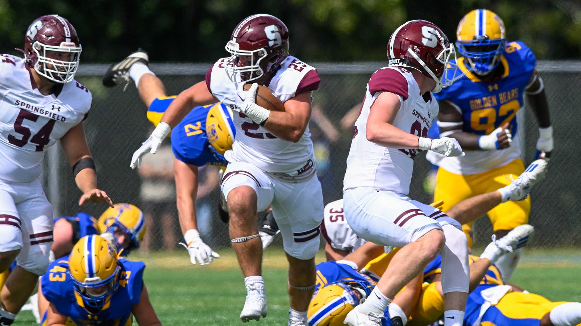 Shtefan Named to CSC Academic All America Second Team Springfield College