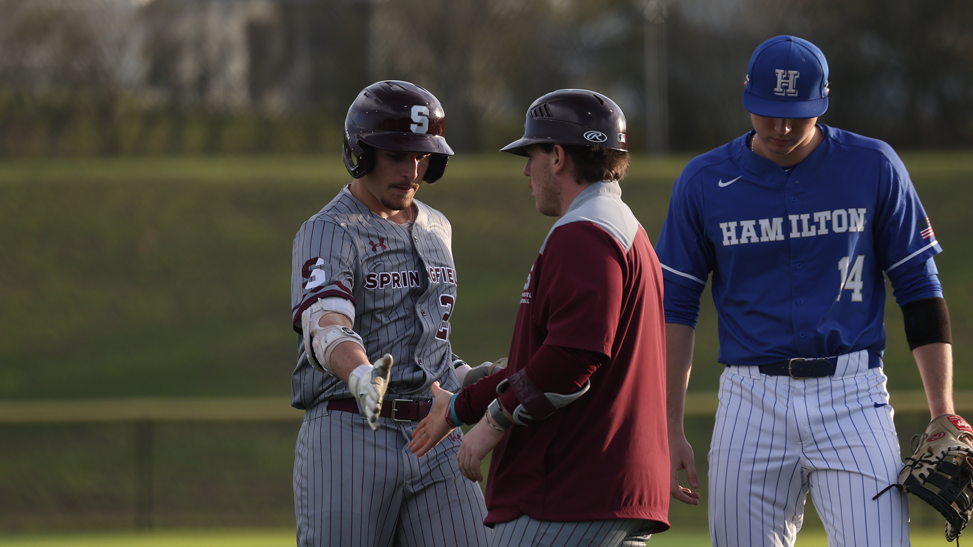 Baseball vs Hamilton