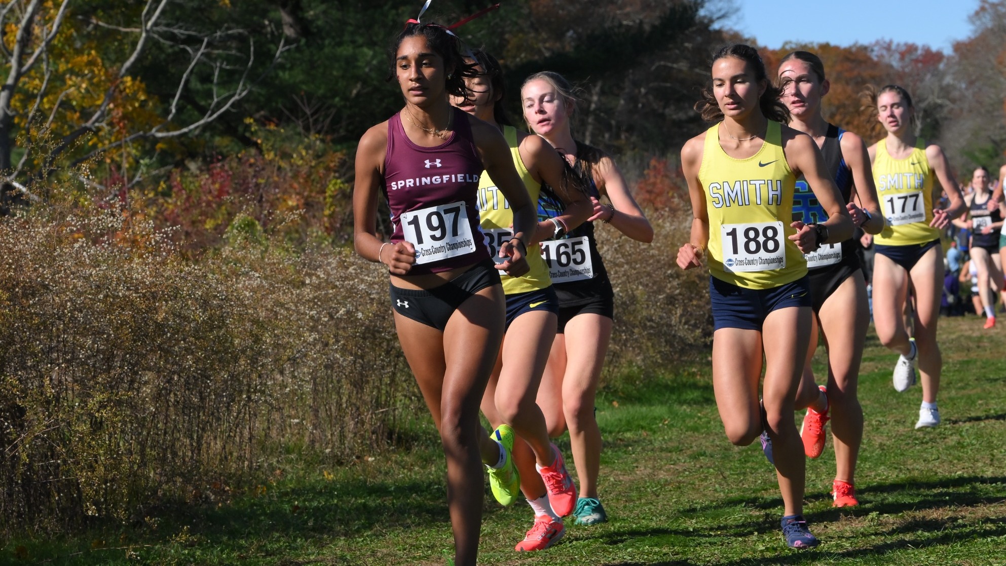 wxc