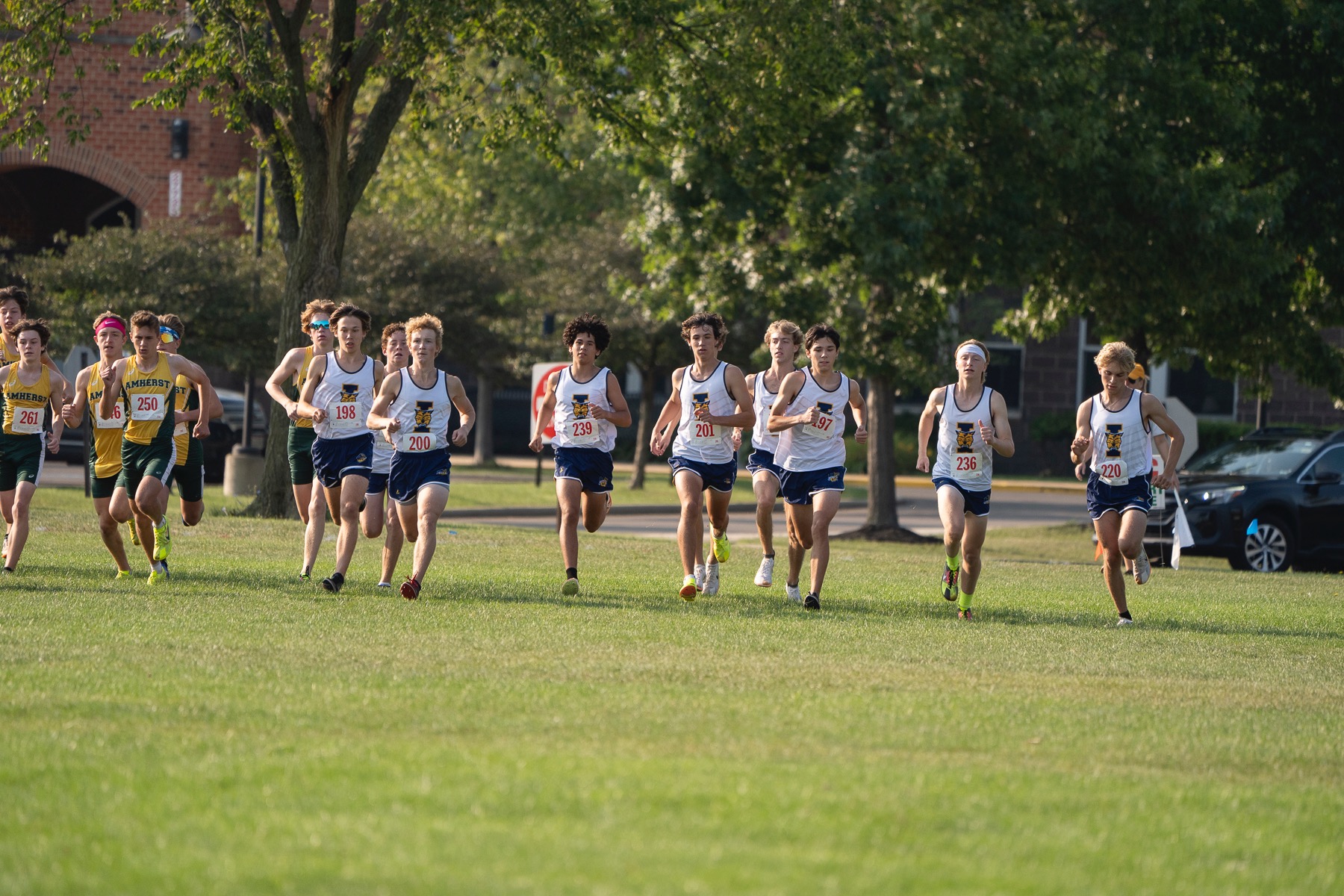 XC