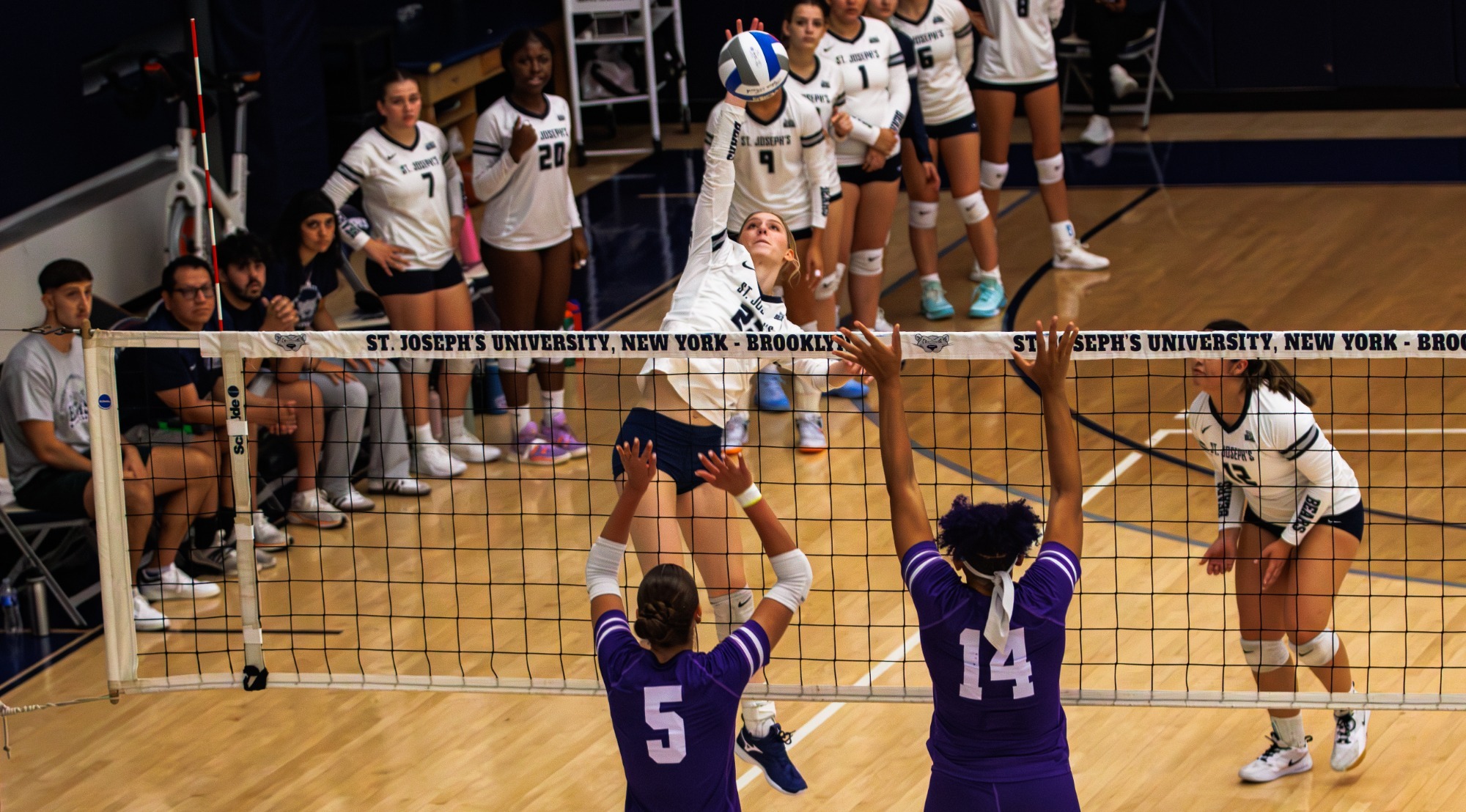 WVB Zwiefelhofer vs CCNY