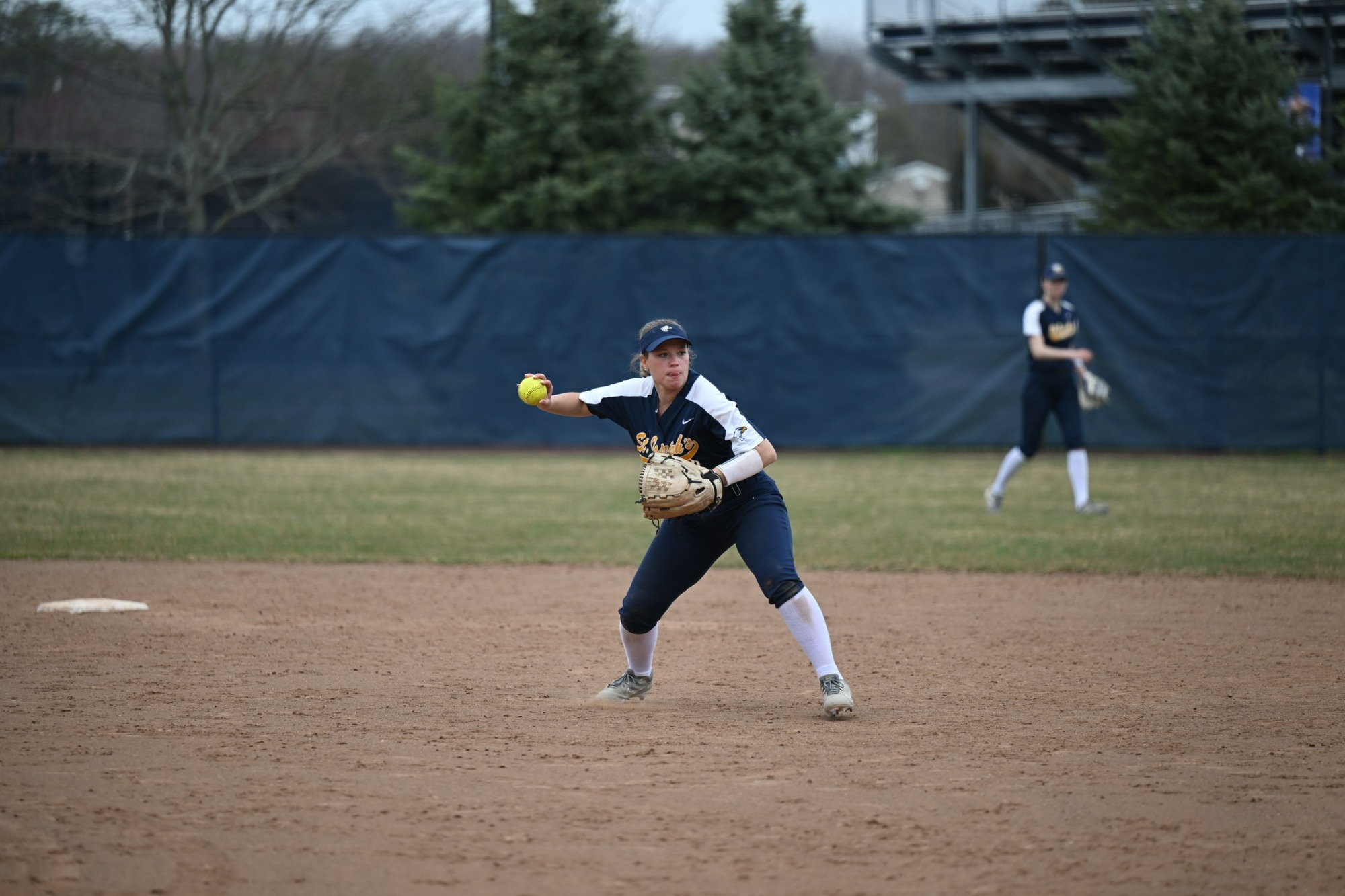 Softball Suffers Loss to Albright St. Joseph's University Long Island