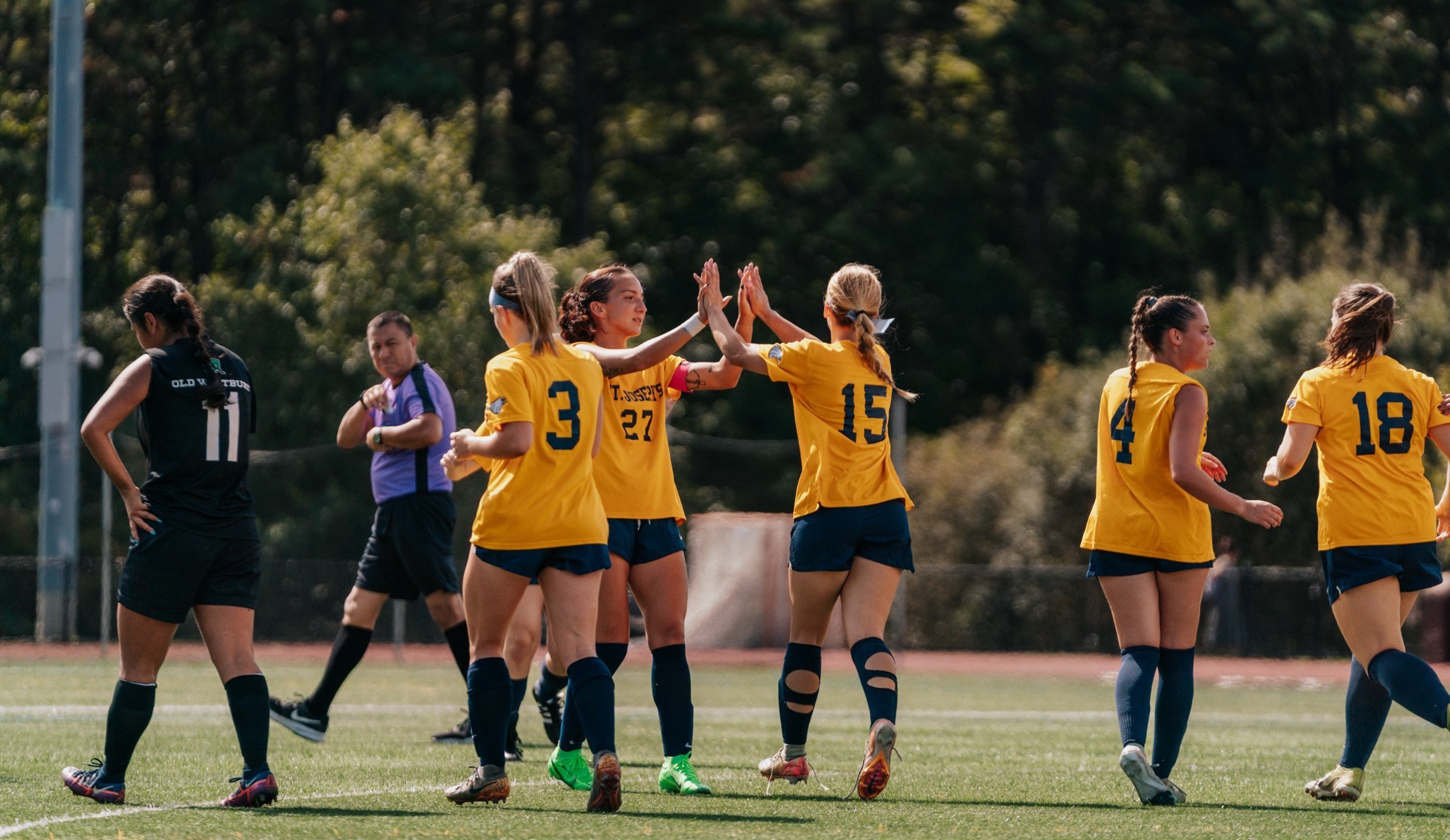 rosario and farrington