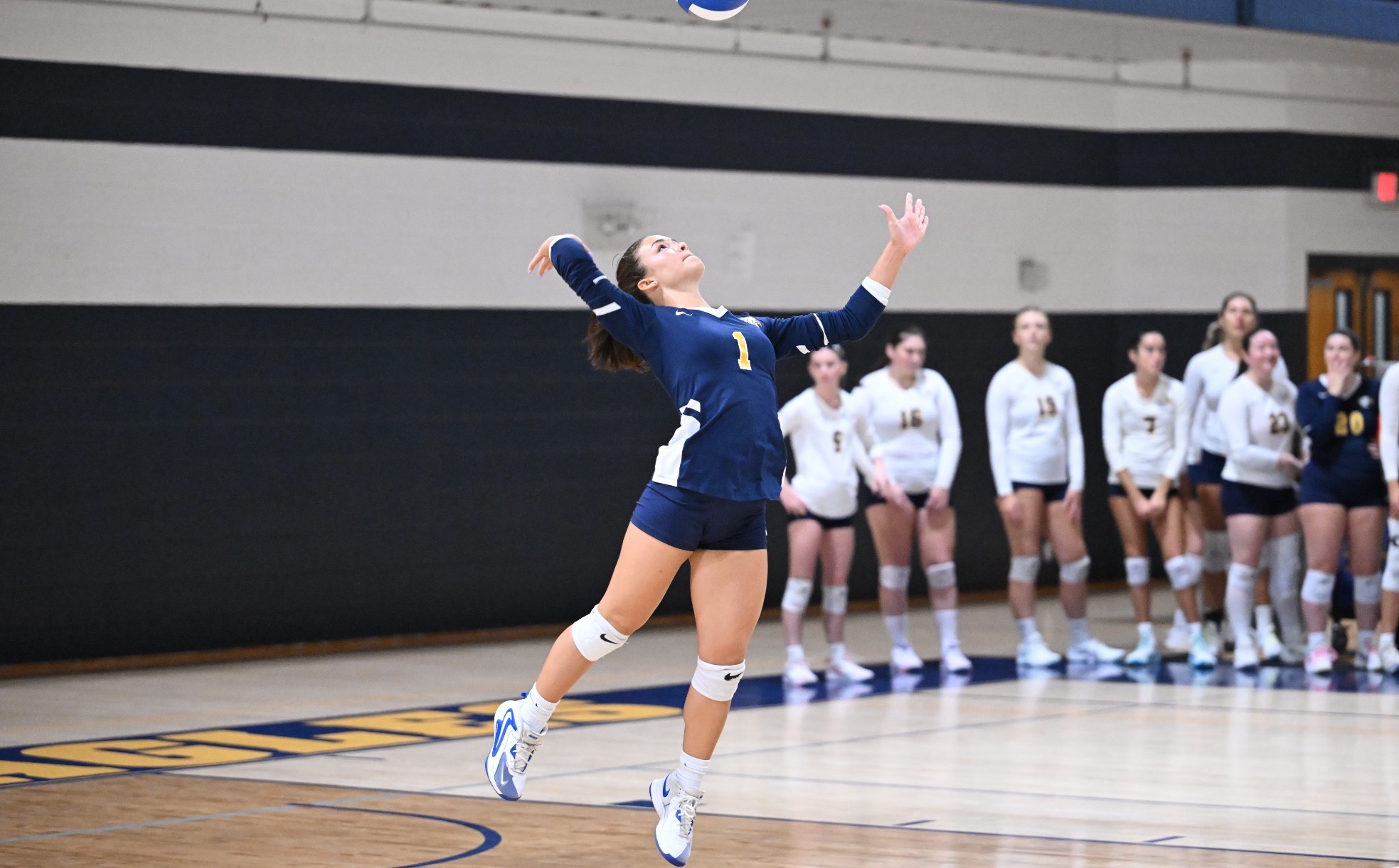 wvb picarella