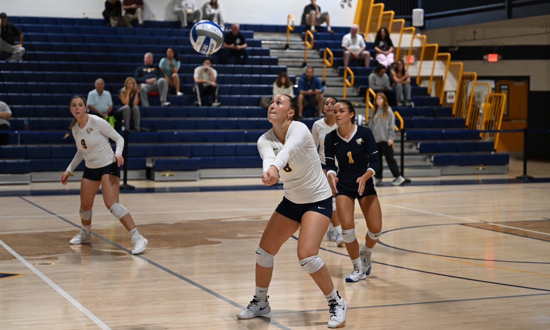 Chelsea wvb
