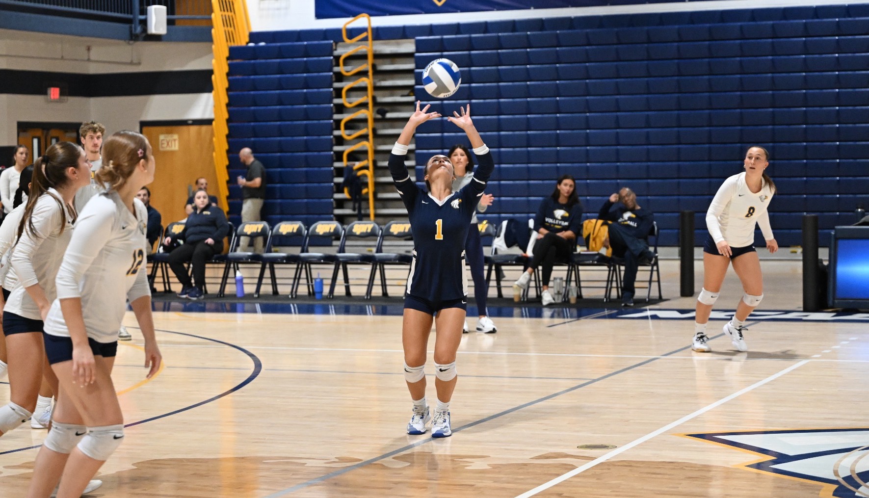 WVB PIC