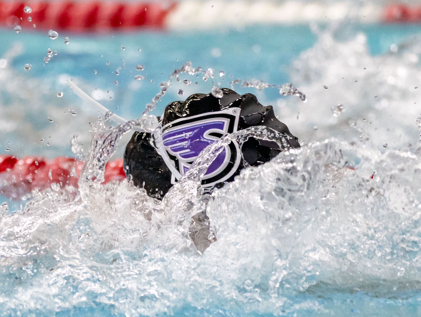 Stonehill Swimming & Diving