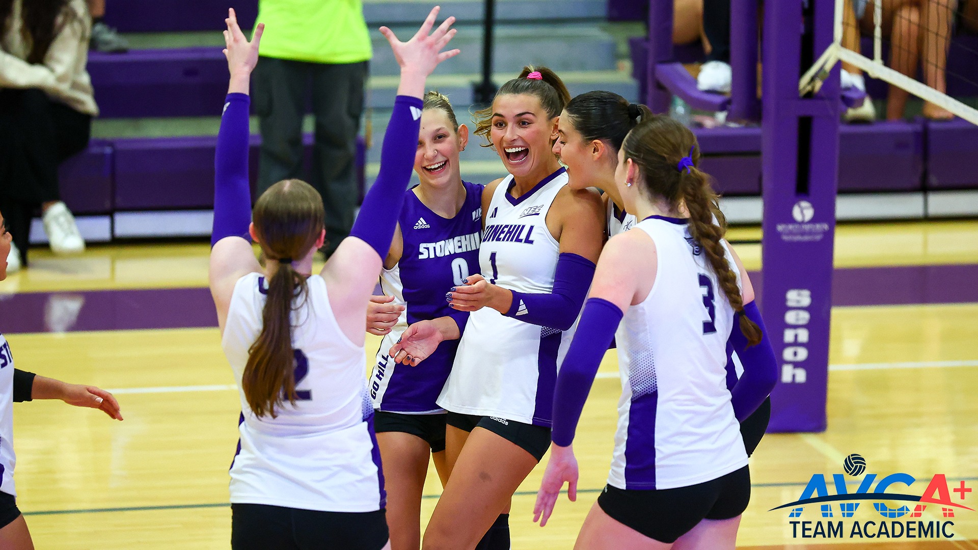 Volleyball Team Academic