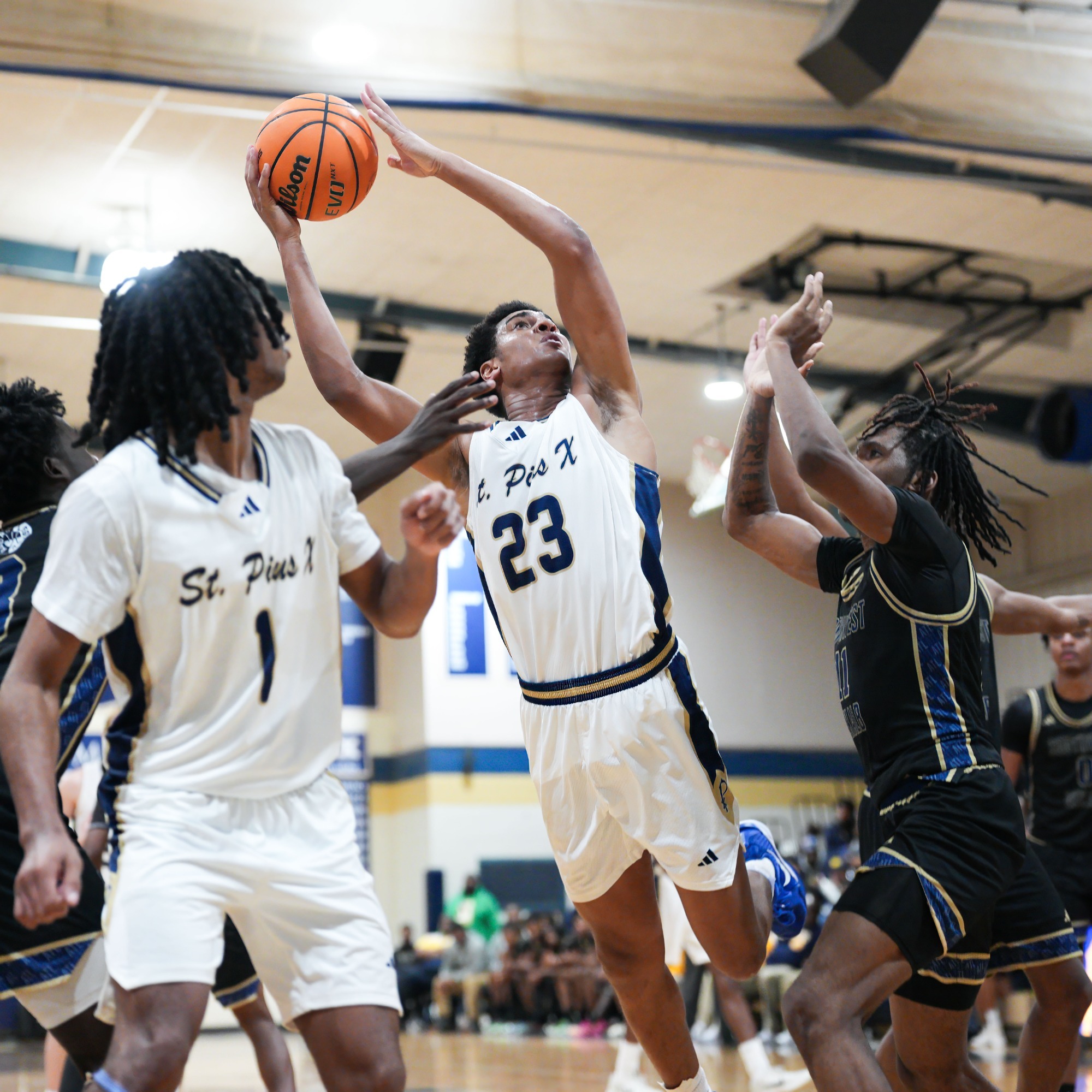 D'Marley Elliott Action 2025-26